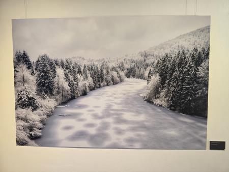 Prvotno jo je naslovil kot Reko, ker je zraven Kočevske Reke. 